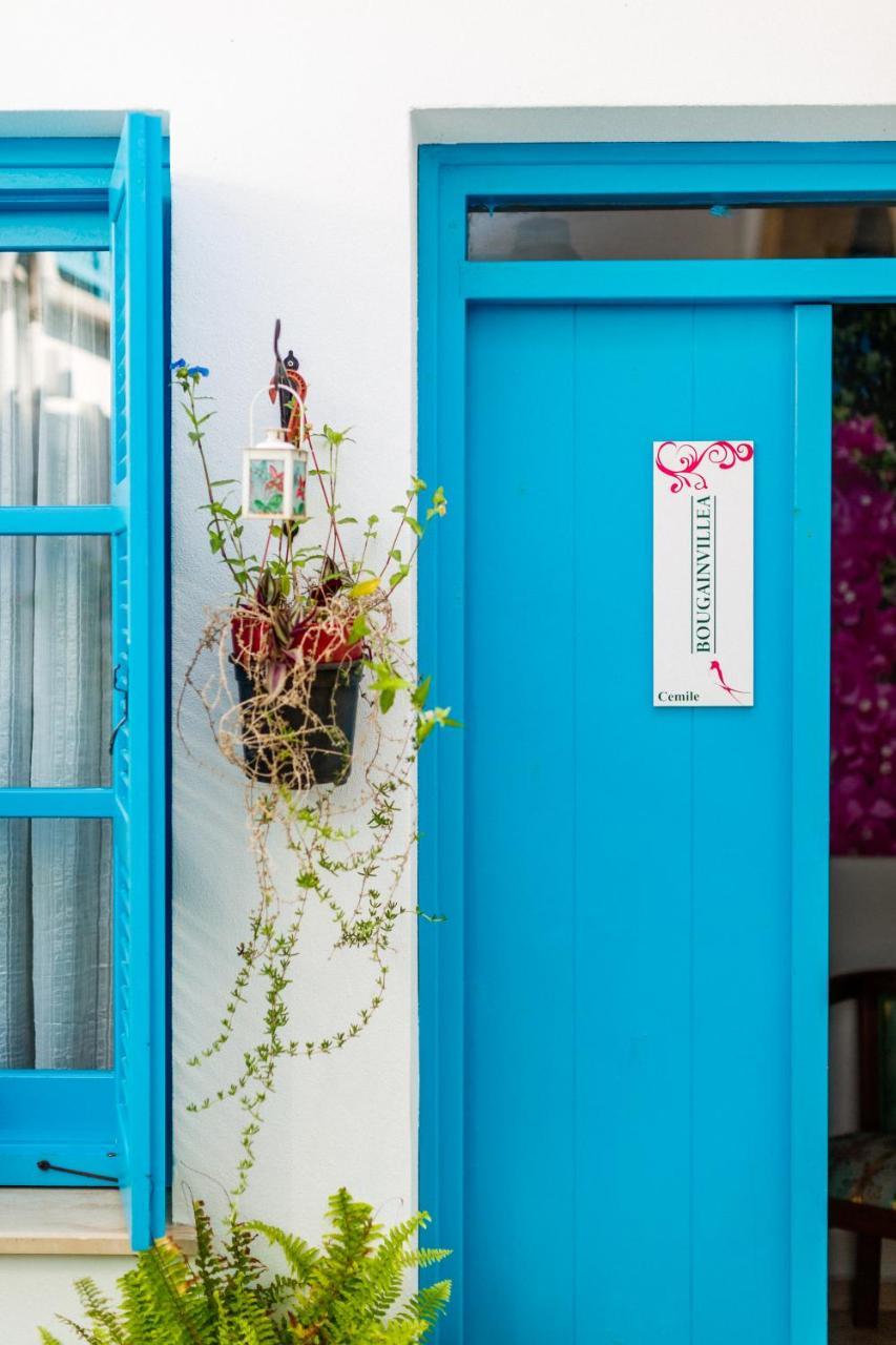 Cypriot Swallow Boutique Hotel Nicósia Exterior foto